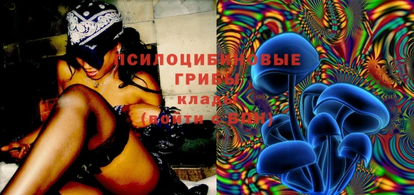 соль ск Грязовец