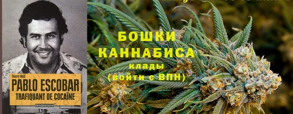 соль ск Грязовец