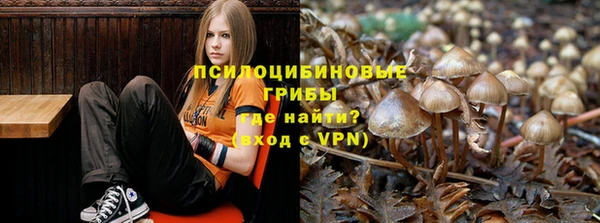 мескалин Грязи