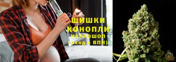 соль ск Грязовец